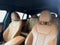 2021 BMW X4 M40i